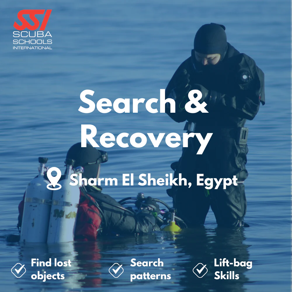 Search & Recovery course in Sharm El Sheikh
