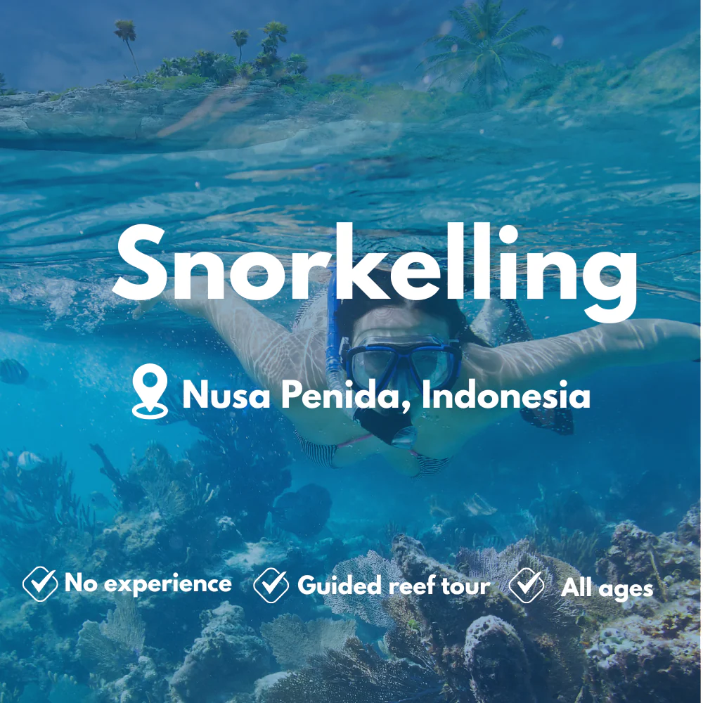 Snorkelling course in Nusa Penida
