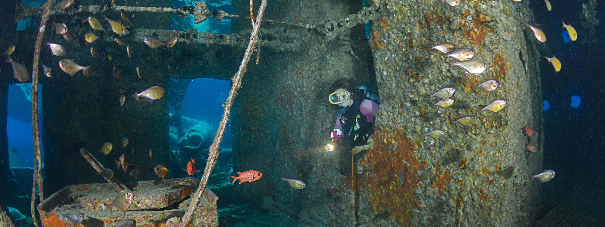 Rescue Diver course in Sharm El Sheikh