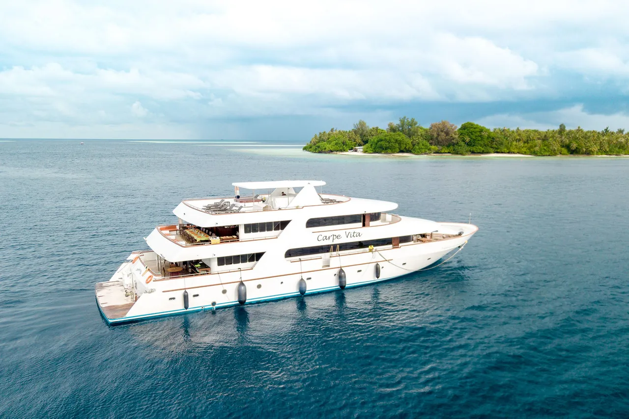 MV Carpe Vita — photo 1