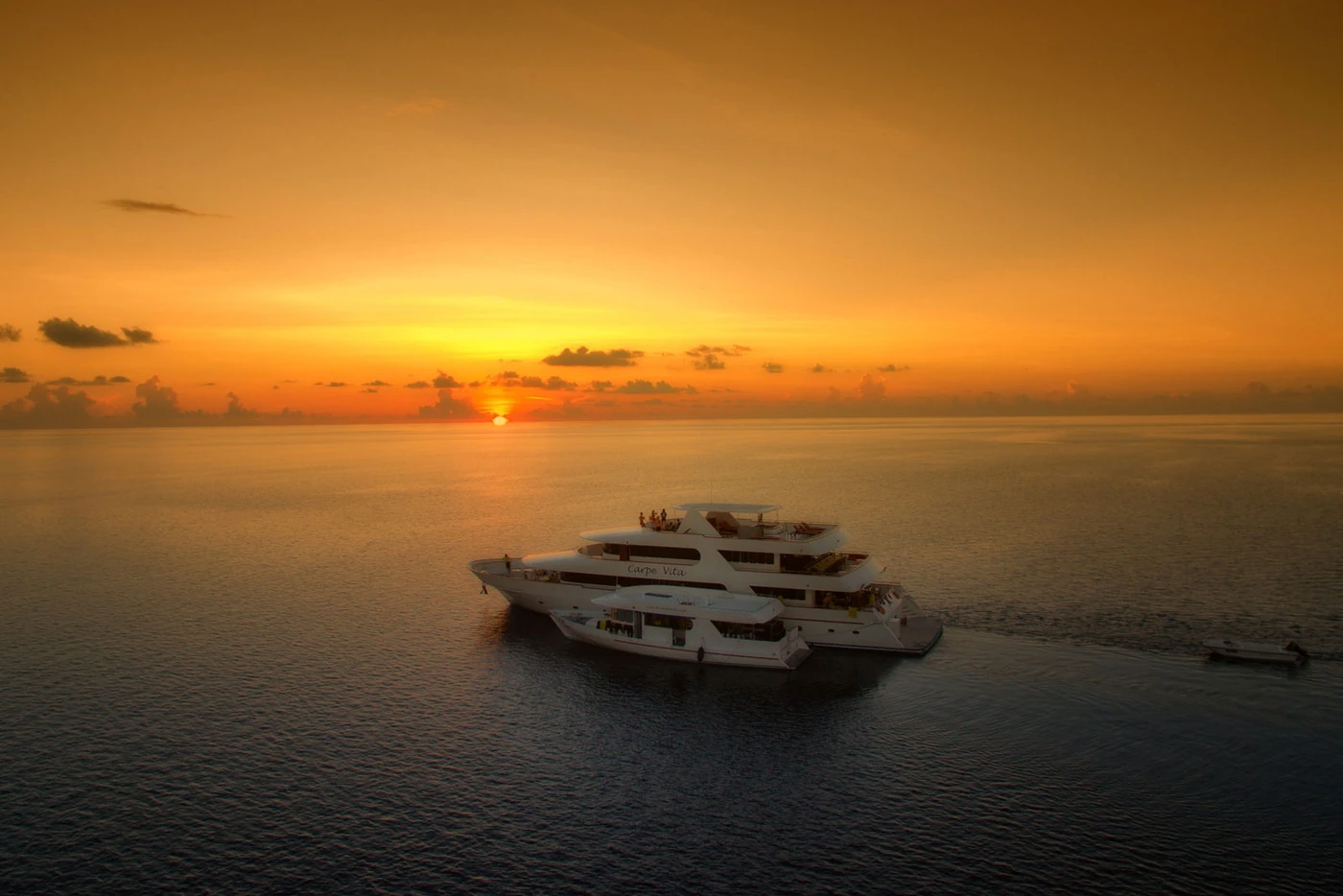 MV Carpe Vita — photo 3