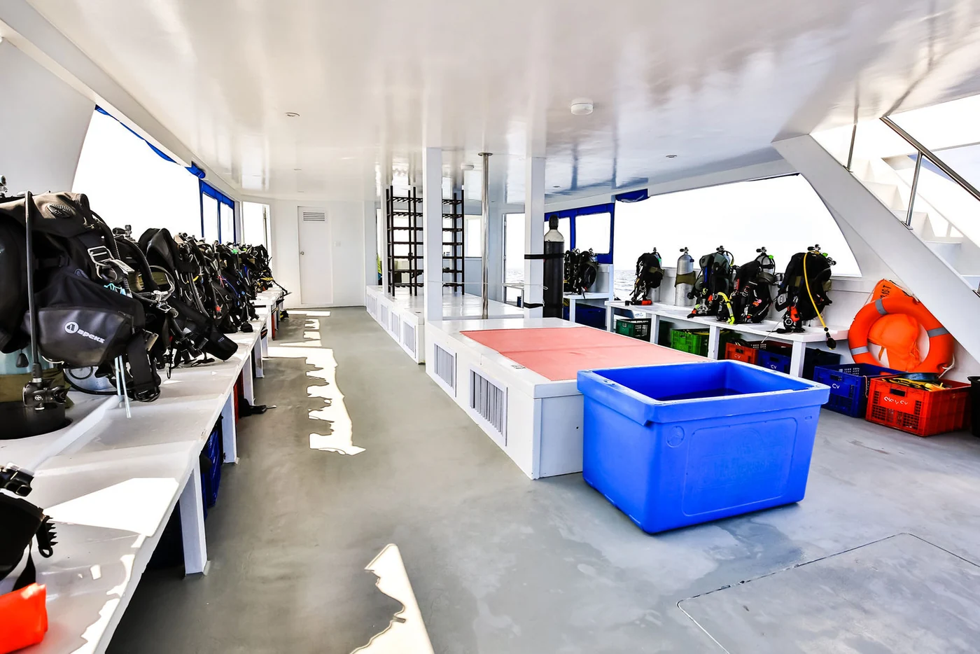 MV Carpe Vita — photo 5